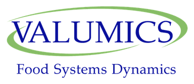 Logo VALUMICS
