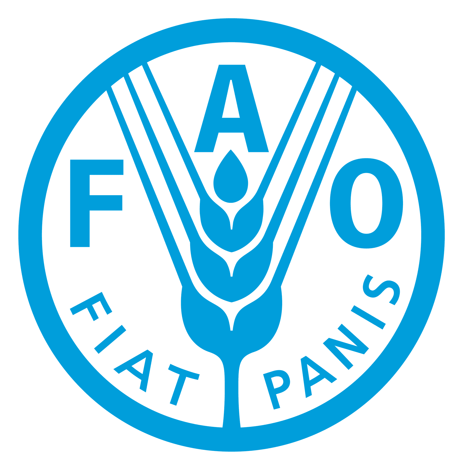 Food and Agriculture Organization of the United Nations